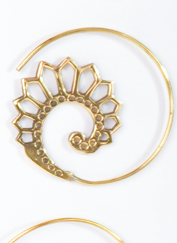 Aretes Espiral Grande