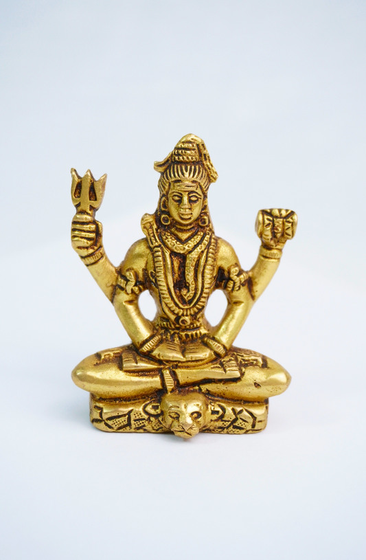 Shiva Bronce